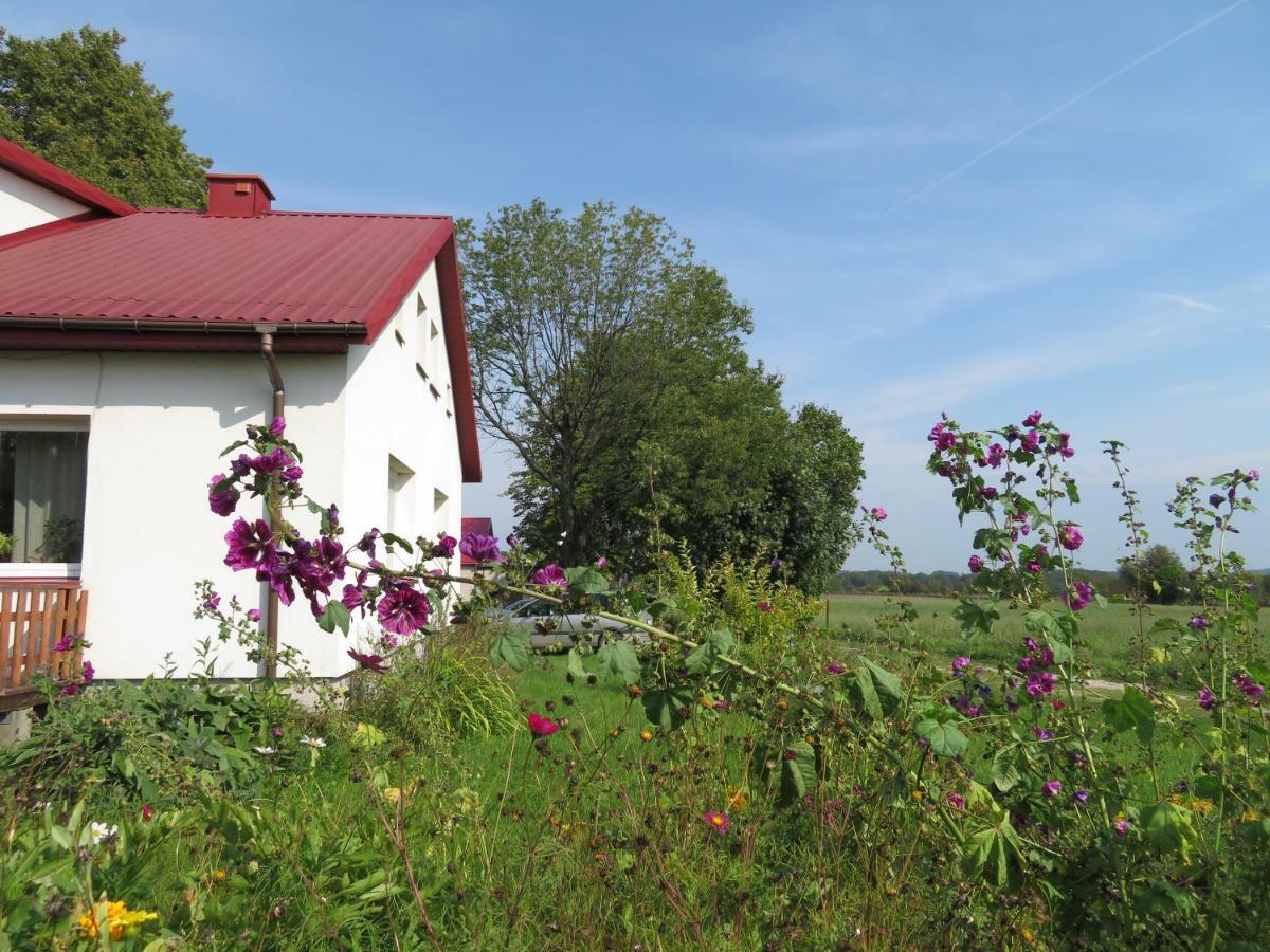 Agrocamp Βίλα Pawlowka  Εξωτερικό φωτογραφία
